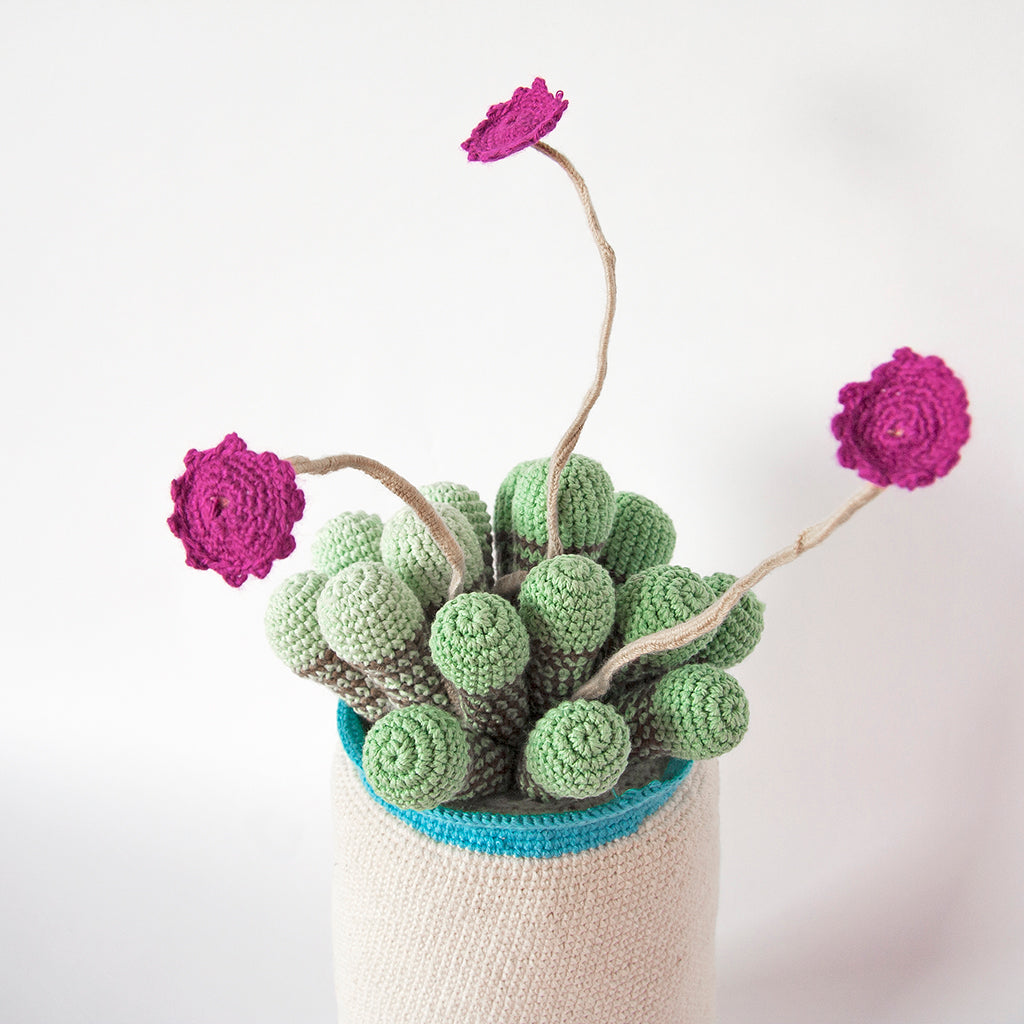 Crochet cactus