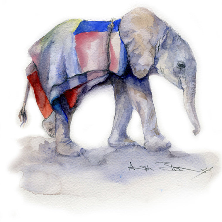 Elephant watercolours by Angela Sheldrick
