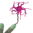Crochet Skinny Cluster Cactus (medium) | Detail view