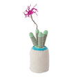 Crochet Skinny Cluster Cactus (medium) by Safari Fusion www.safarifusion.com.au