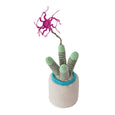 Crochet Skinny Cluster Cactus (medium) by Safari Fusion www.safarifusion.com.au
