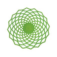 Wired Lace Platter (medium | green) by Safari Fusion www.safarifusion.com.au