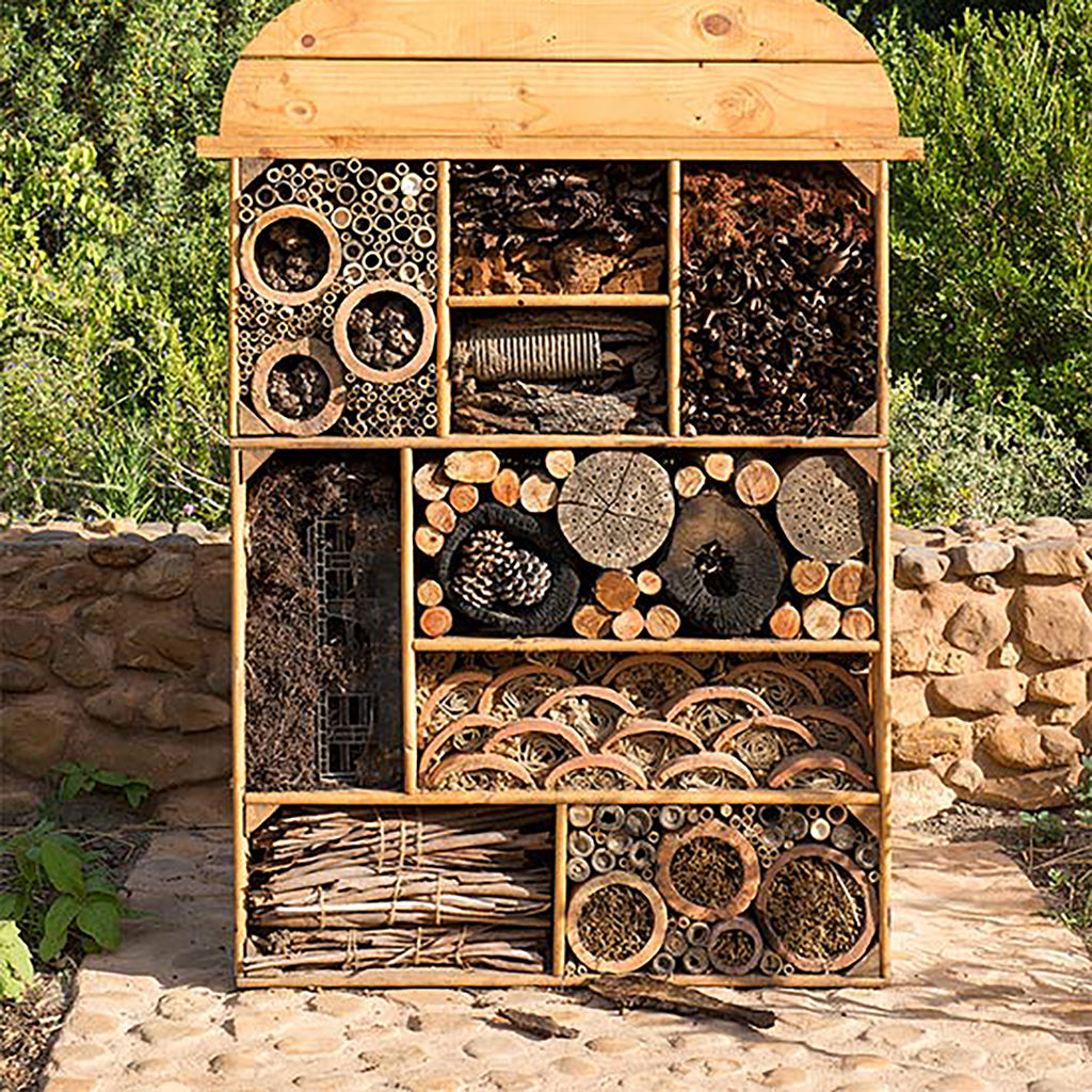 A room at the insect hotel?