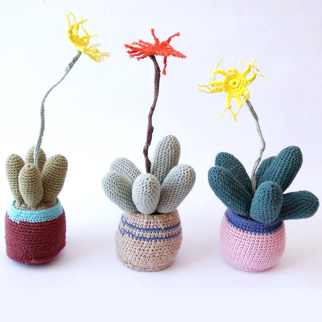 Hand-knitted veld flowers